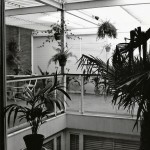 Casa TÀPIES. Barcelona, 1960. PATIO INTERIOR